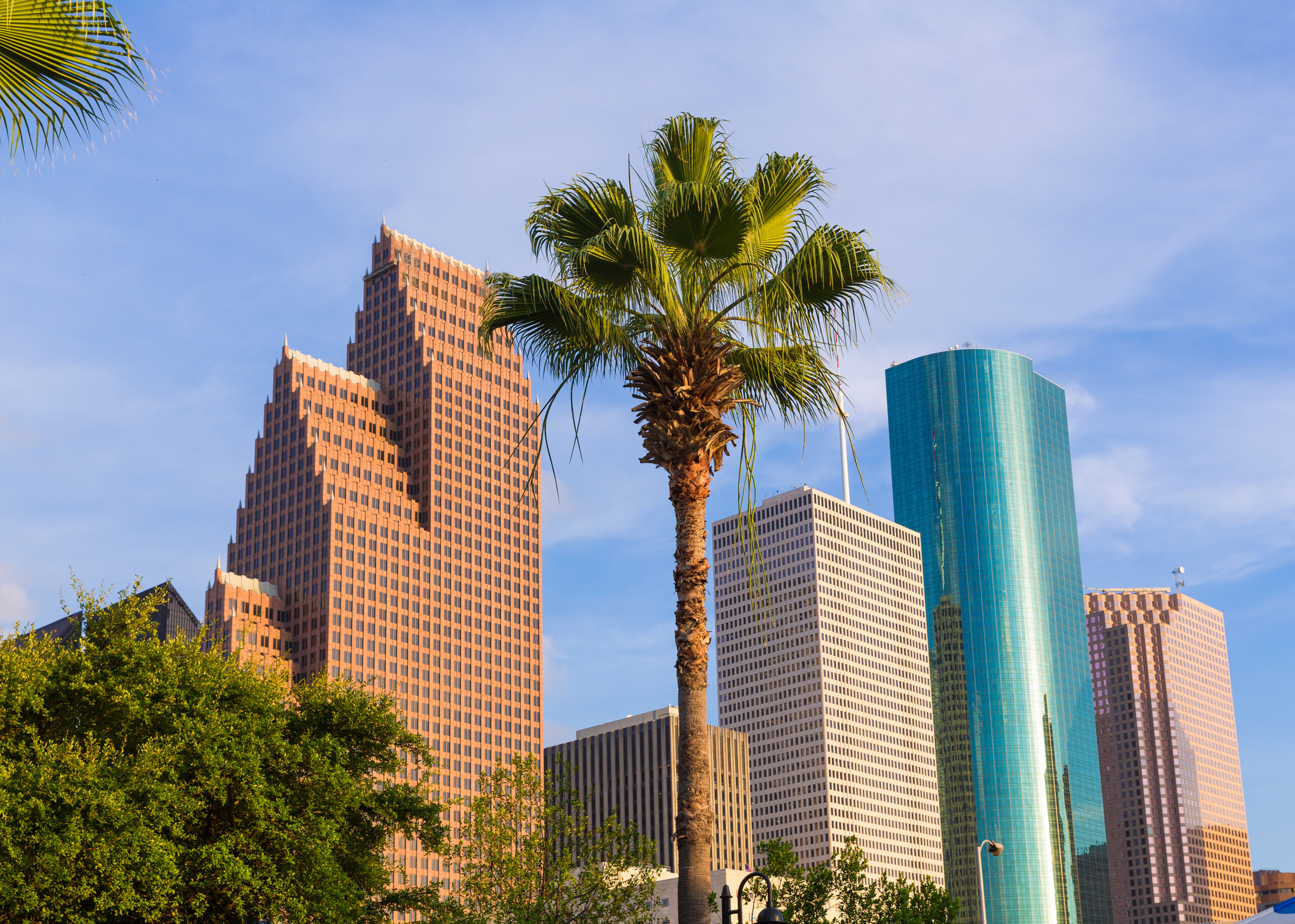 Houston,Skyline,North,View,Palm,Trees,In,Texas,Us,Usa