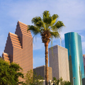 Houston,Skyline,North,View,Palm,Trees,In,Texas,Us,Usa